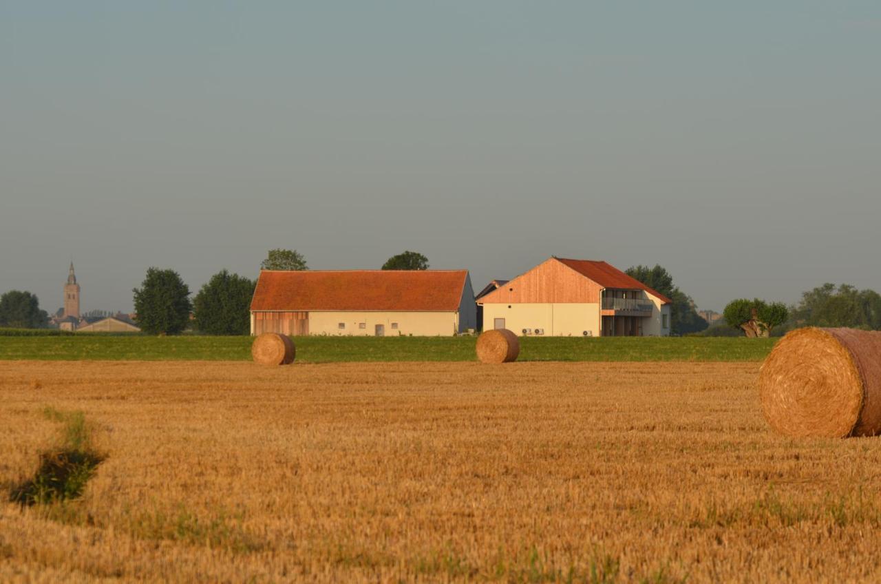Bed and breakfast Oversteekhof Roesbrugge-Haringe