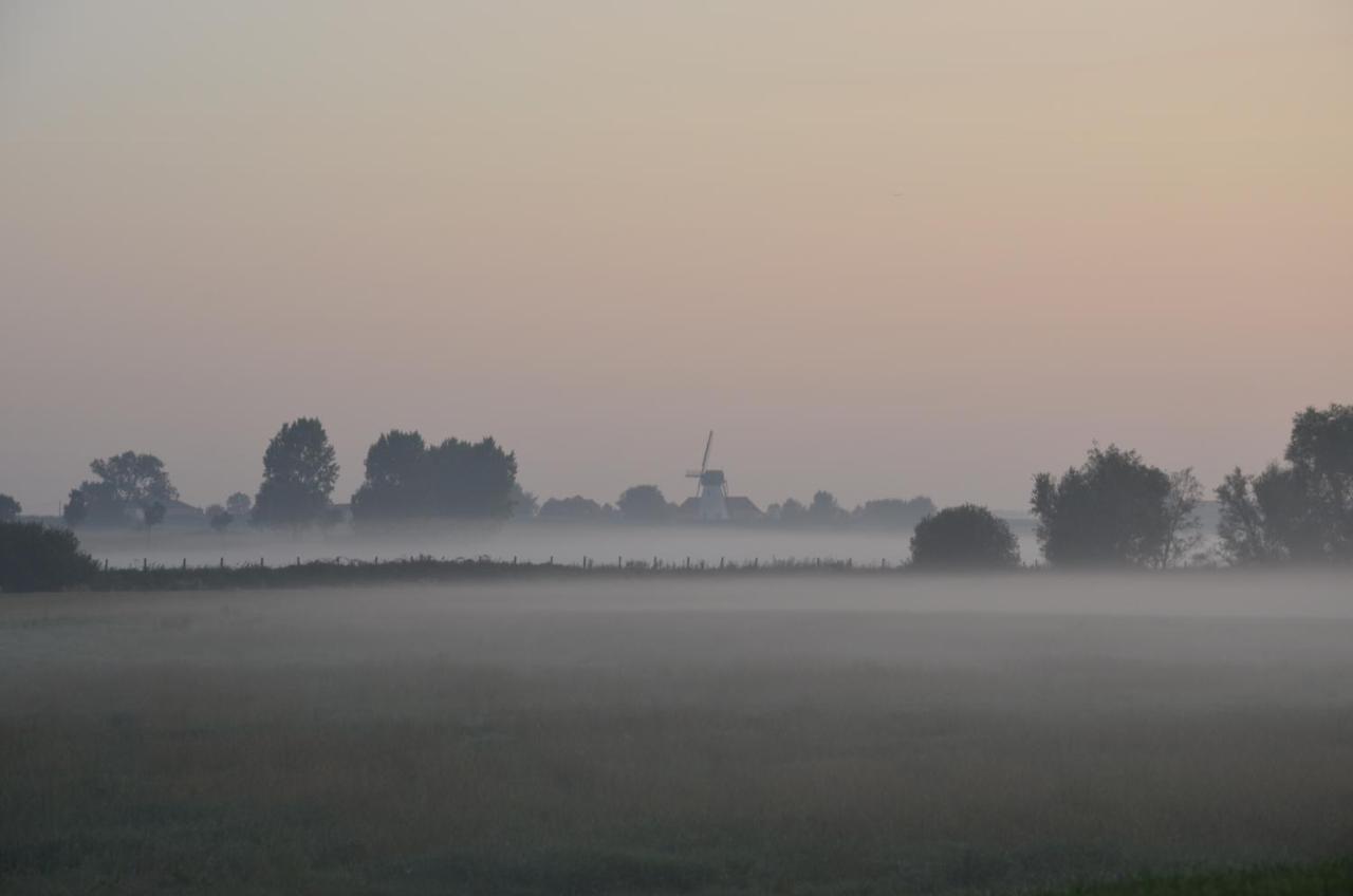 Oversteekhof * Roesbrugge-Haringe
