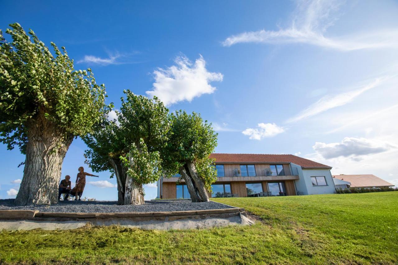 Bed and breakfast Oversteekhof Roesbrugge-Haringe